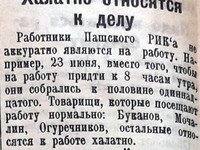 "Пашский колхозник". 8 июля 1930 г.