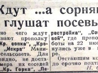 23 июня 1935 год. По страницам газеты "Пашский колхозник".