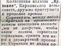 23 июня 1935 год. По страницам газеты "Пашский колхозник".