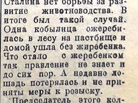 6 сентября 1935 год. По страницам газеты "Пашский колхозник"