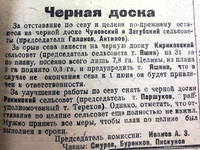29 мая 1935 г. По страницам газеты "Пашский колхозник".