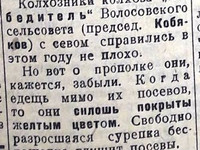 3 июля 1935 г. По страницам газеты "Пашский колхозник".