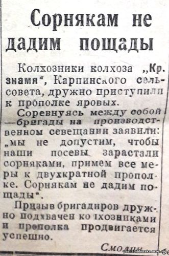 23 июня 1935 год. По страницам газеты "Пашский колхозник".
