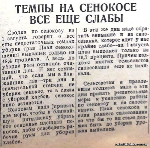 3 августа 1935 год. По страницам газеты "Пашский колхозник".