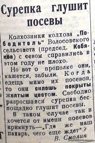 3 июля 1935 г. По страницам газеты "Пашский колхозник".