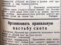 13 мая 1936 год. По страницам газеты "Пашский колхозник".