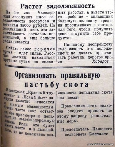 13 мая 1936 год. По страницам газеты "Пашский колхозник".