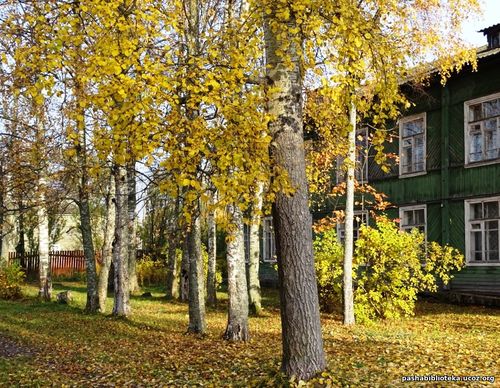 Пашская библиотека. Октябрь. 2018 г.