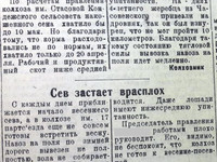 По страницам газеты "Пашский колхозник". 22 апреля 1938 год.
