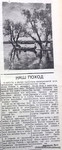 По страницам газеты "Пашский колхозник". 20 августа 1940 г.