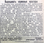 По страницам газеты "Пашский колхозник". 20 мая 1941 г.