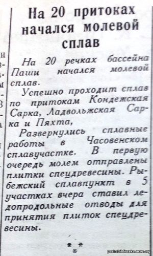 По страницам газеты "Пашский колхозник". 5 мая 1941 г.