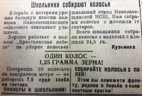 По страницам газеты «Пашский колхозник». 19 августа 1943 г.