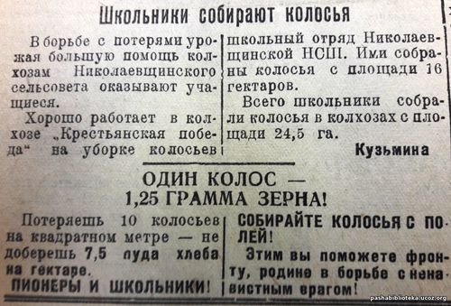 По страницам газеты «Пашский колхозник». 19 августа 1943 г.